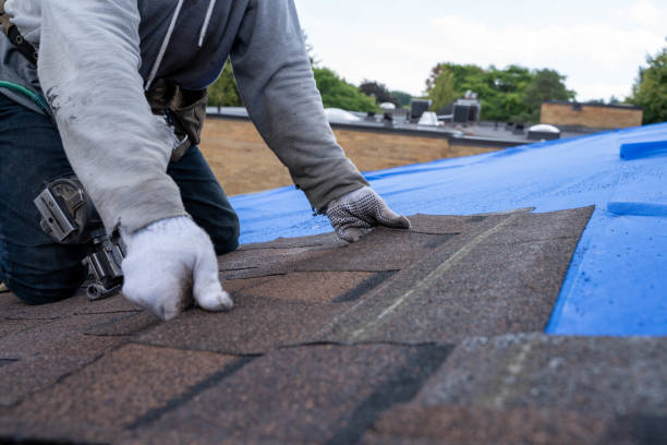 Quick and Trustworthy Emergency Roof Repair Services in Heathrow, FL